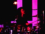 IMAG0062.JPG