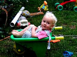 A,wheelbarrow2.JPG
