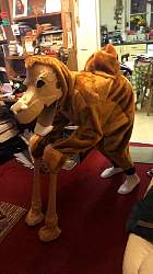 camel2.jpg
